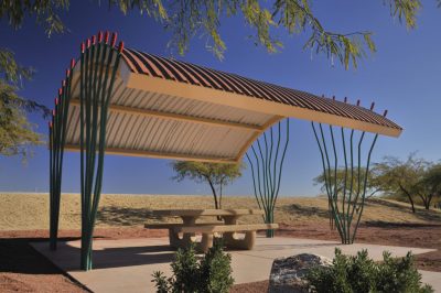 Ocotillo- CRS