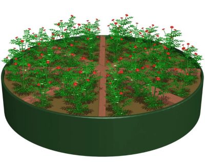 GFP- Pizza Planter