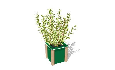 Planters Cube- NEP