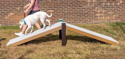 Rover Ramp- Playmart