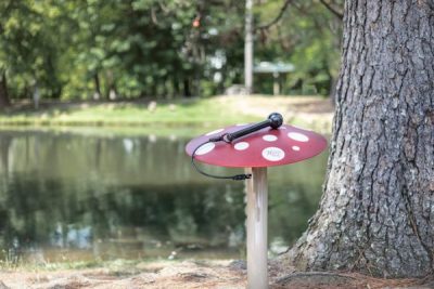 Musical Mushrooms -FN
