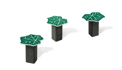 NEP- Stepping Stool Leaf