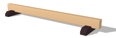NEP- Balance Beam