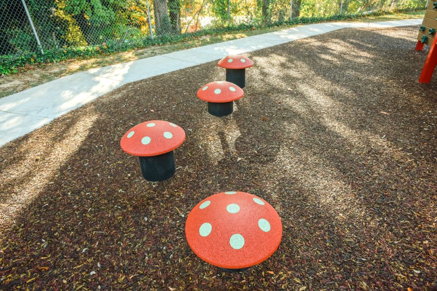 Mushroom- GFP